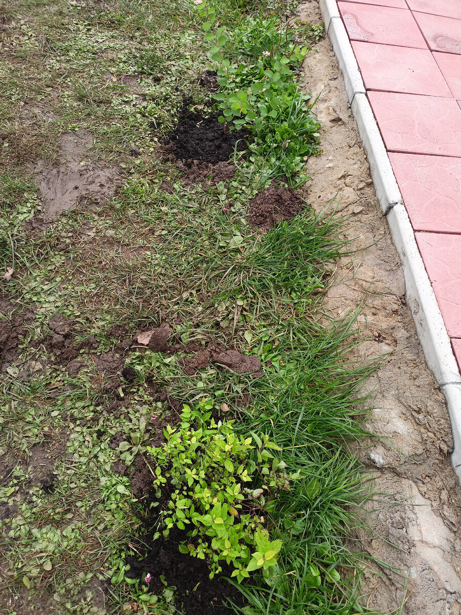 высадила у беседки