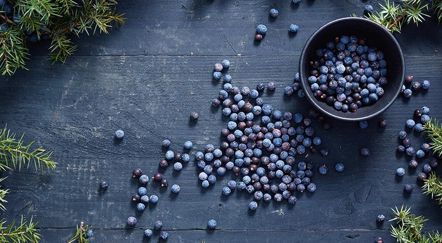 можжевеловые шишкоягоды