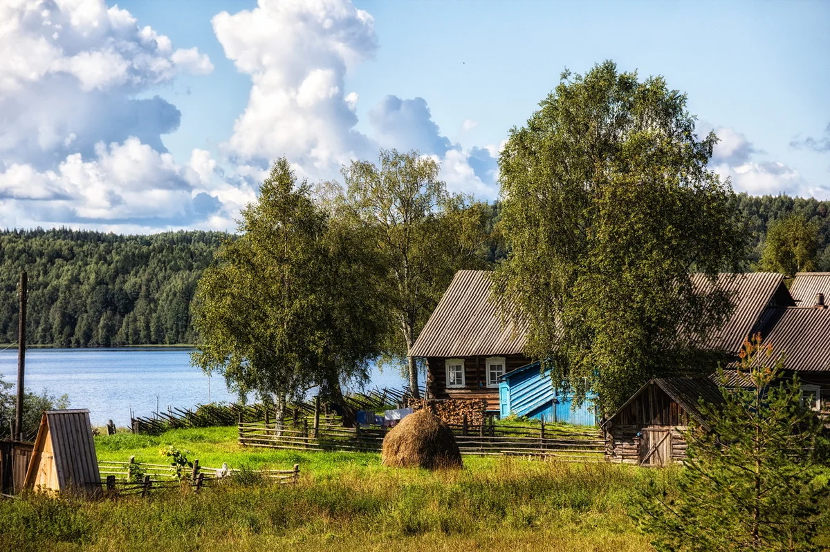 Изображение с сайта agrarian.expert