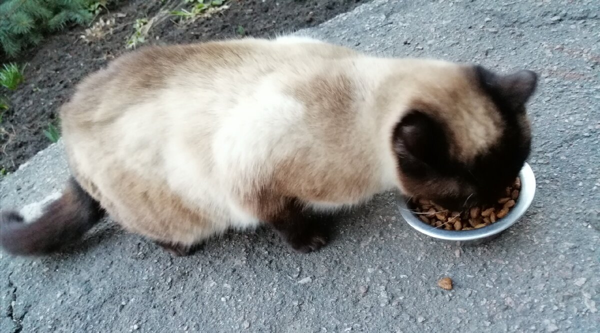 Аж за ушами трещит