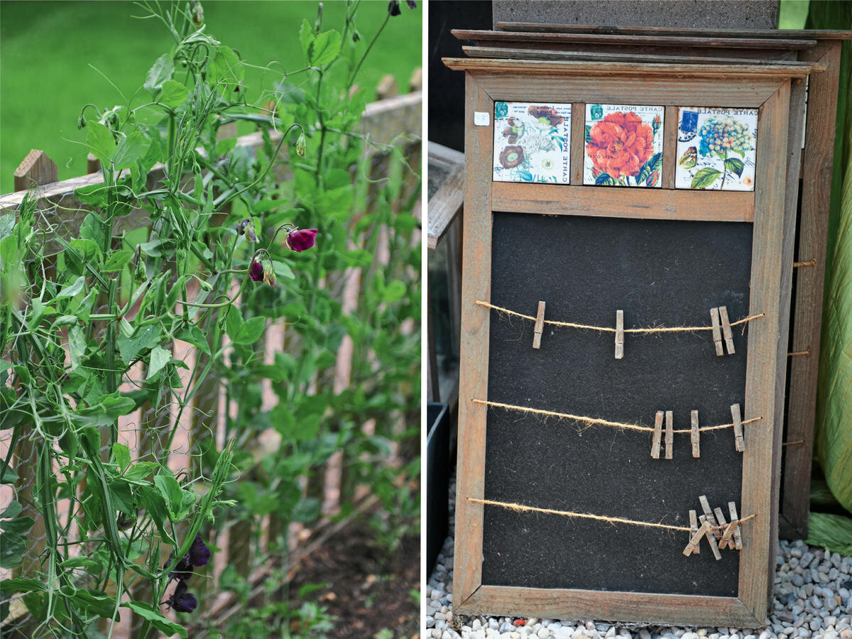 Слева: душистый горошек на сетке. Справа: садовый органайзер с прищепками 