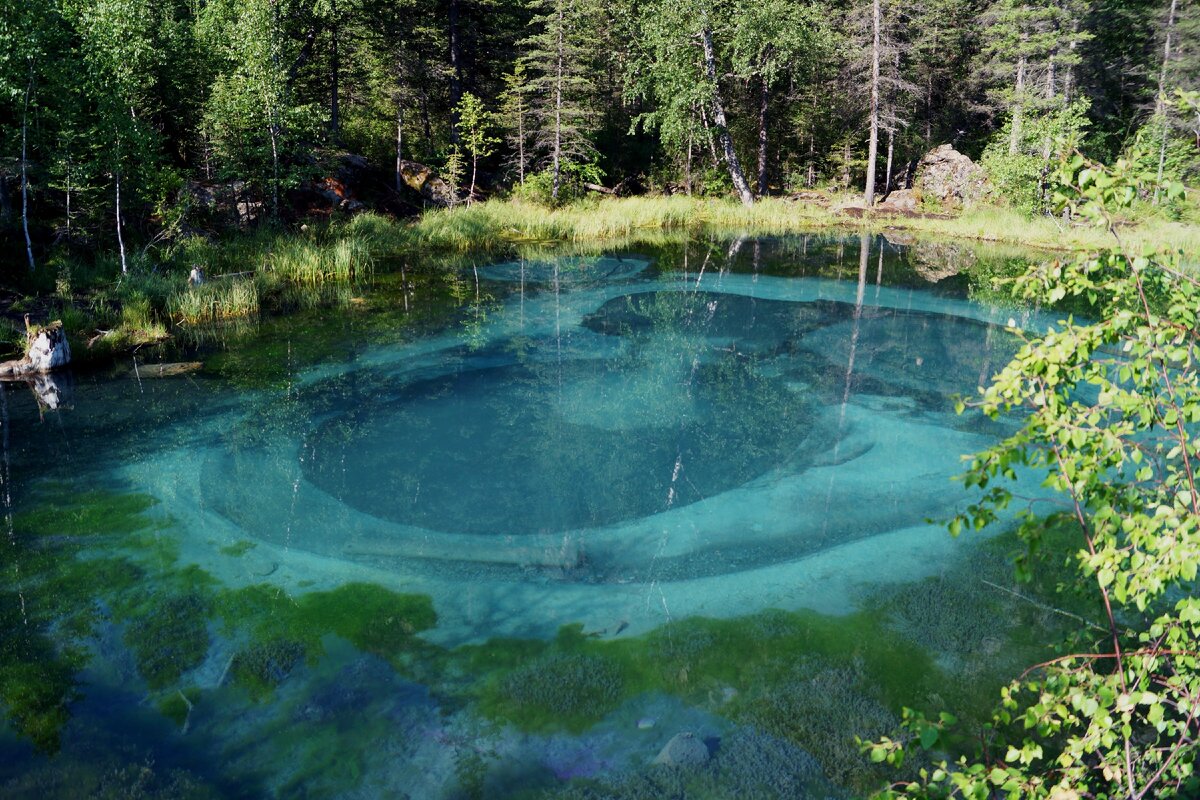 Фото из архива автора