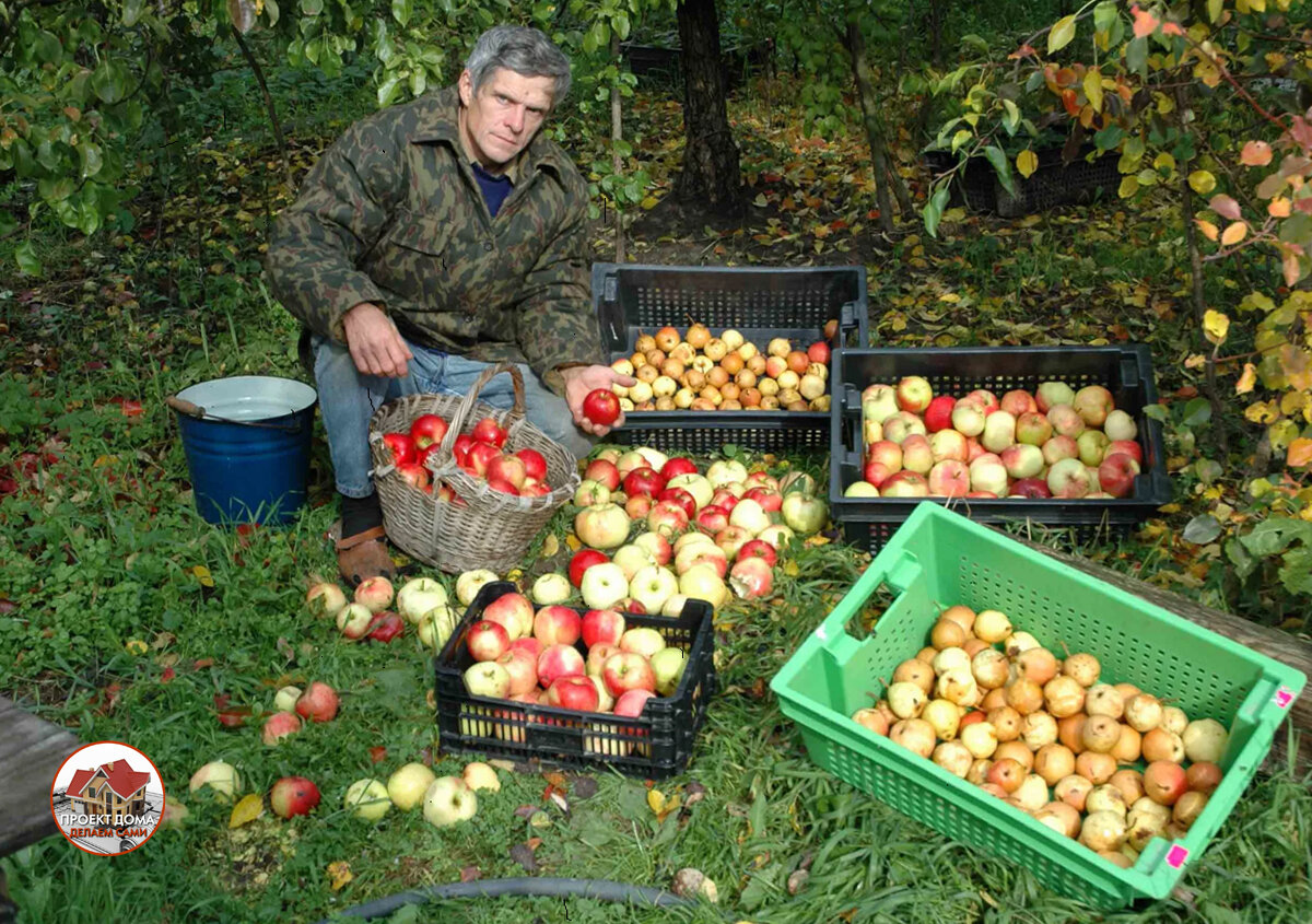 Хочется бросить город и переехать жить в деревню, на свежий воздух? 5 причин, почему не стоит этого делать ??