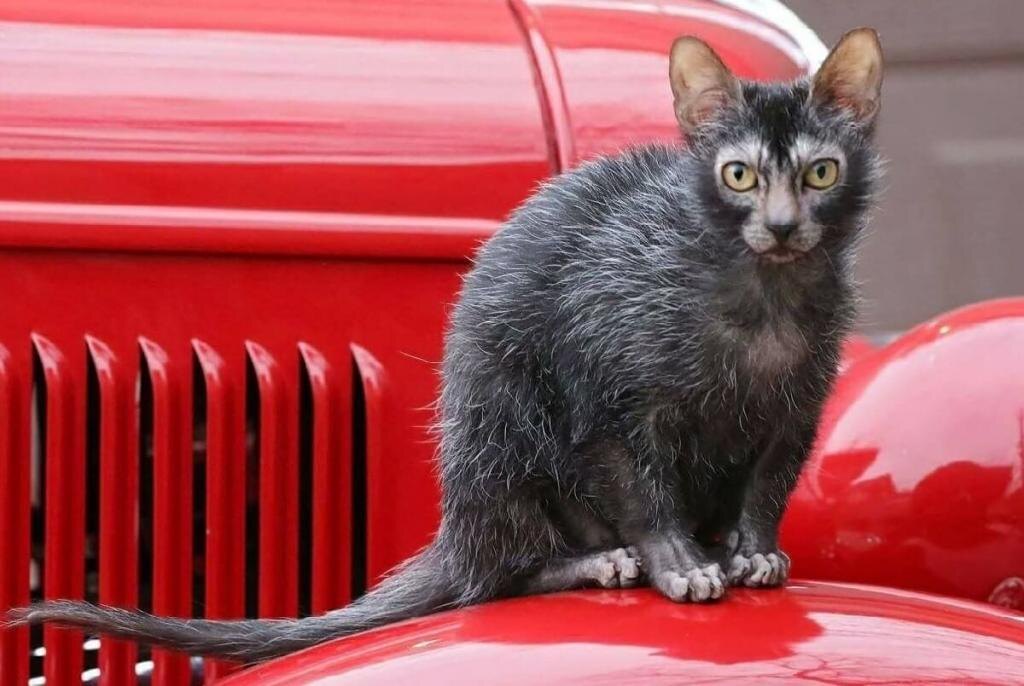 Источник dobrotver.ru