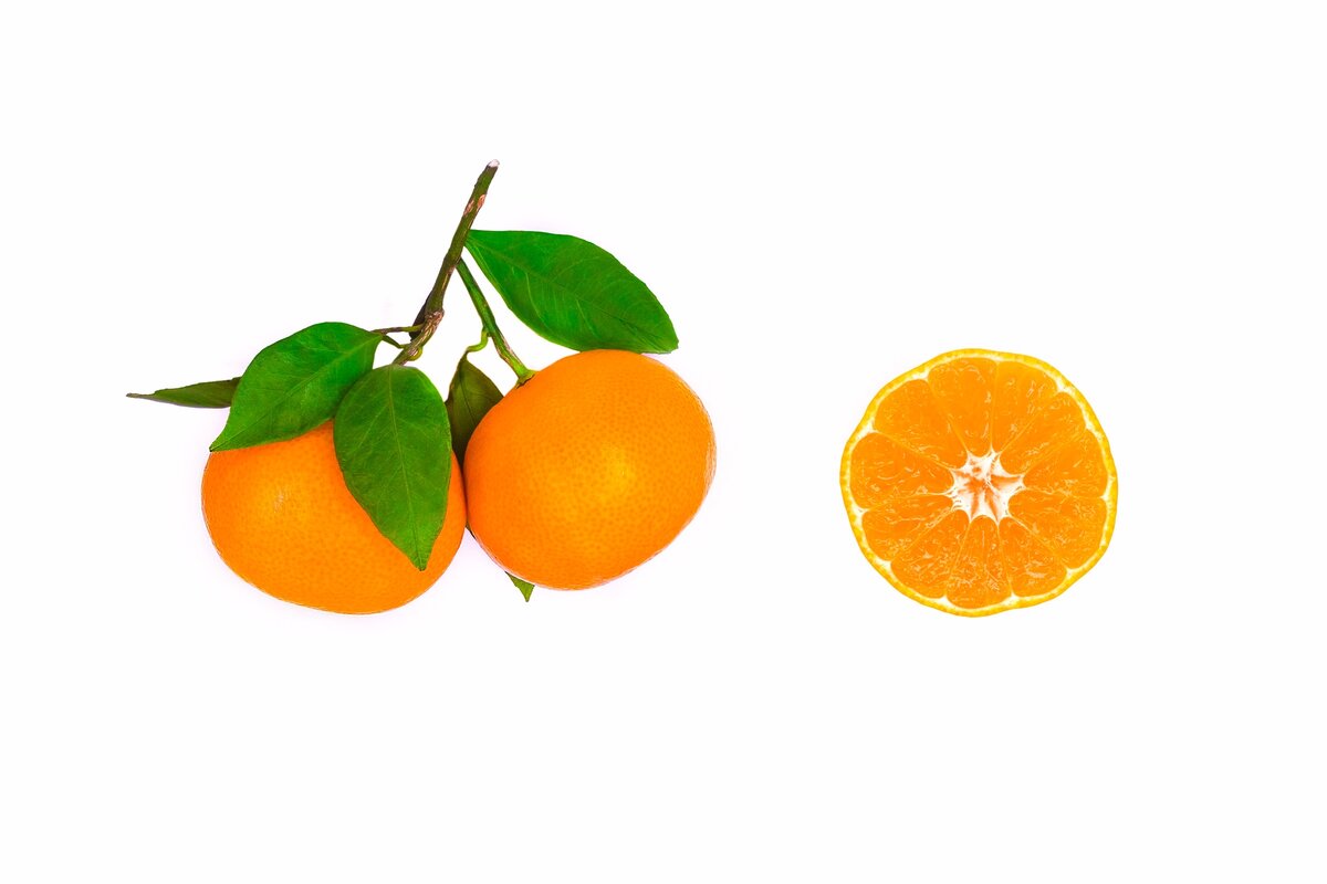 EugeneEdge. shutterstock.com