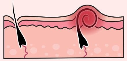 Источник:https://www.pinterest.ru/