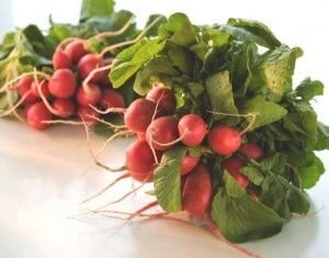     Вымойте редис и нарежьте его тонкими кружочками.    