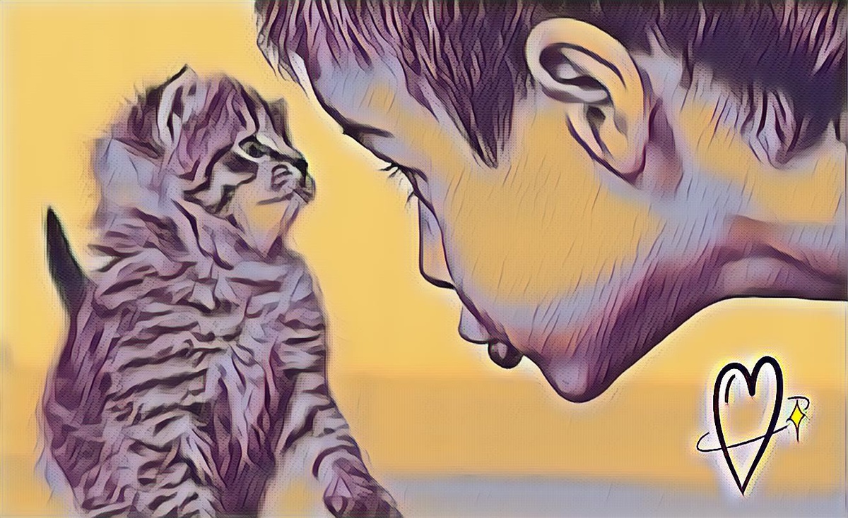 Обидеть котенка проще всего. Картинка скачана с ЯК