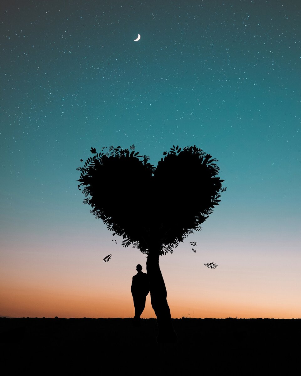  https://www.pexels.com/ru-ru/photo/photoshop-744667/
