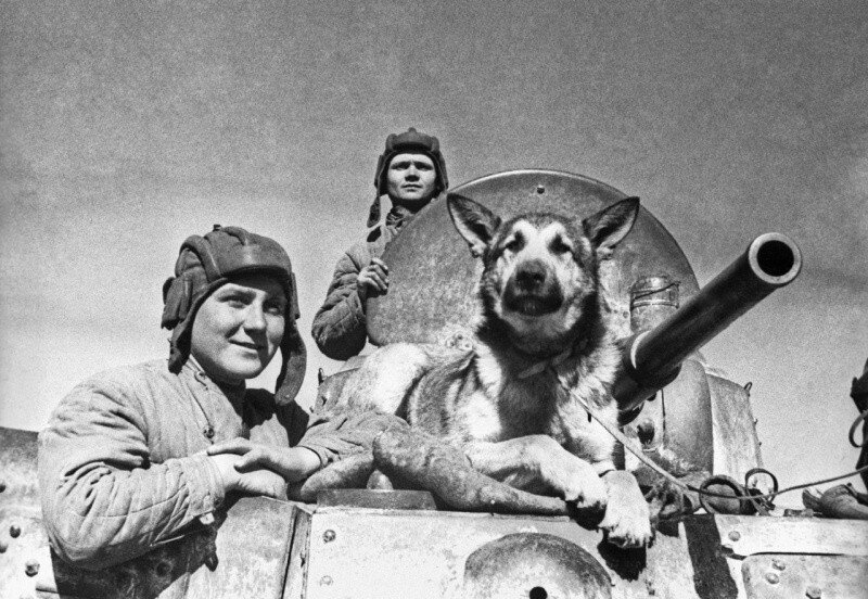Фото: waralbum.ru, автор: Эммануил Евзерихин
