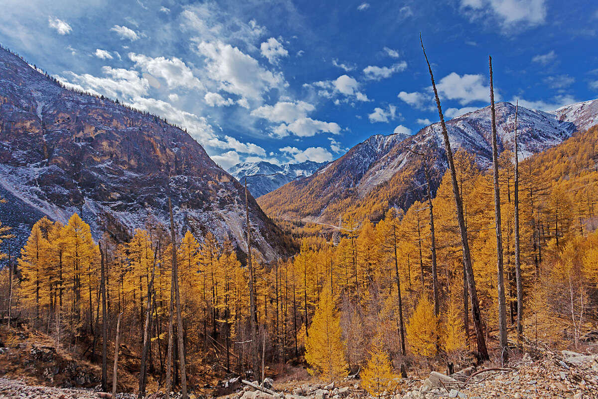 Взято из открытых источников. Восточные и Западные Саяны. Восточная Сибирь