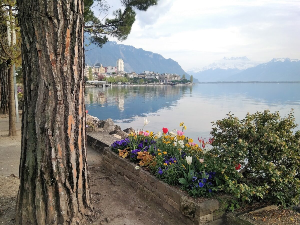 Веве. Вид на восточную часть Женевского озера 