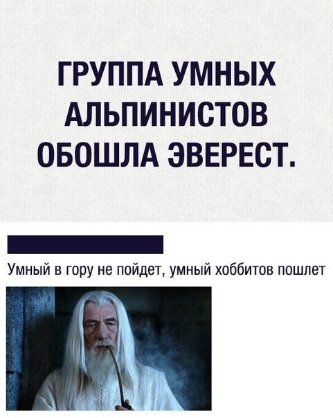 Гендальф самый умный их всех туристов