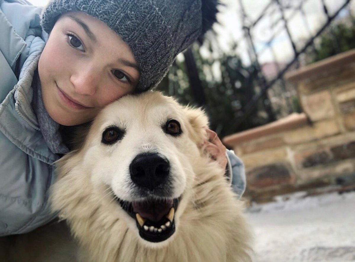 Источник фото: twipu.com