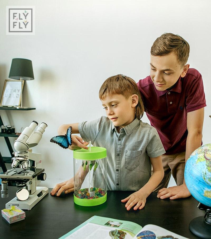 Ферма живых бабочек Бабочкарий