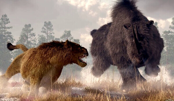Пещерный лев: кошмарил быков и медведей тысячелетиями