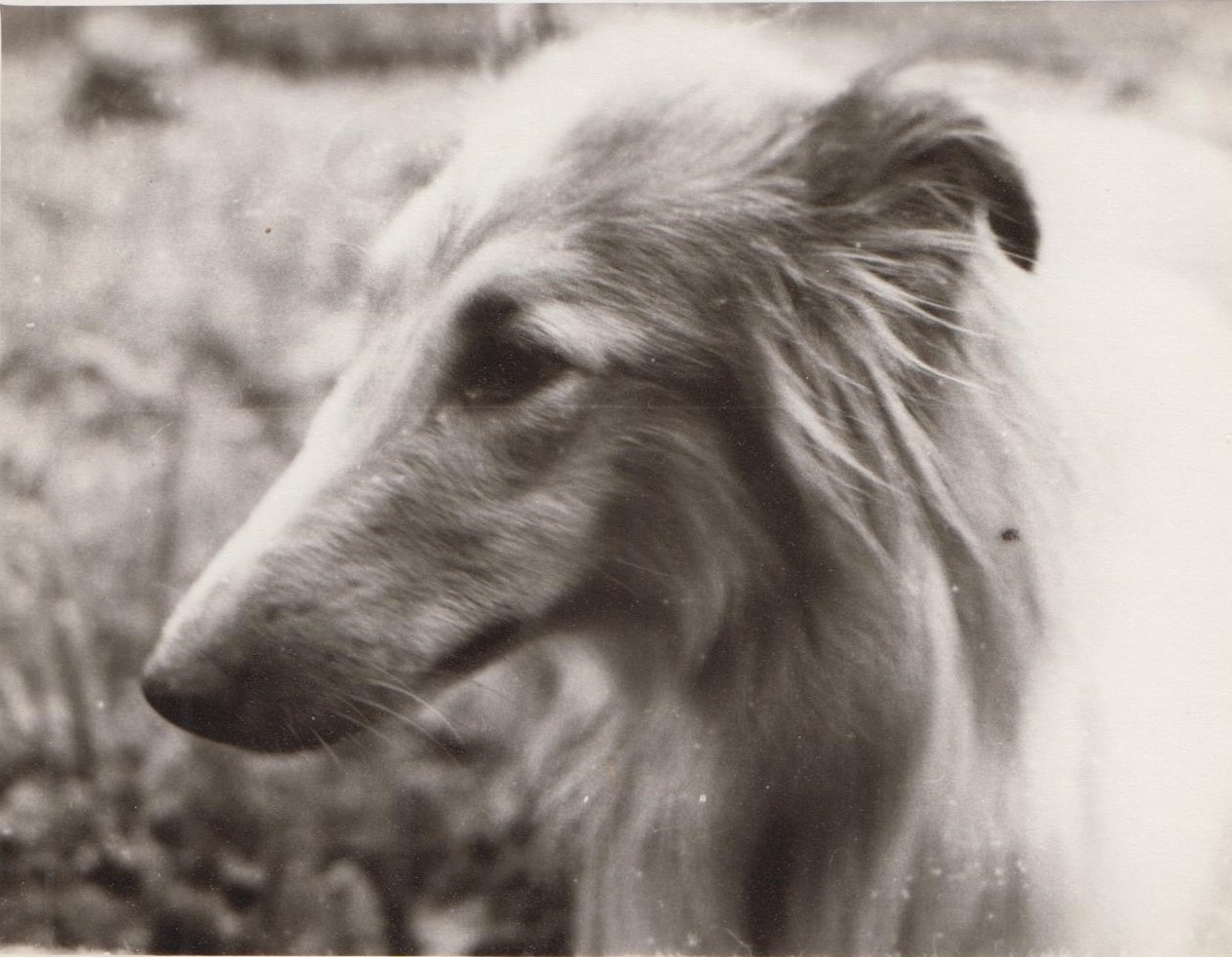 Фото автора канала Журнал о бытовом.  Фото из личного архива. 