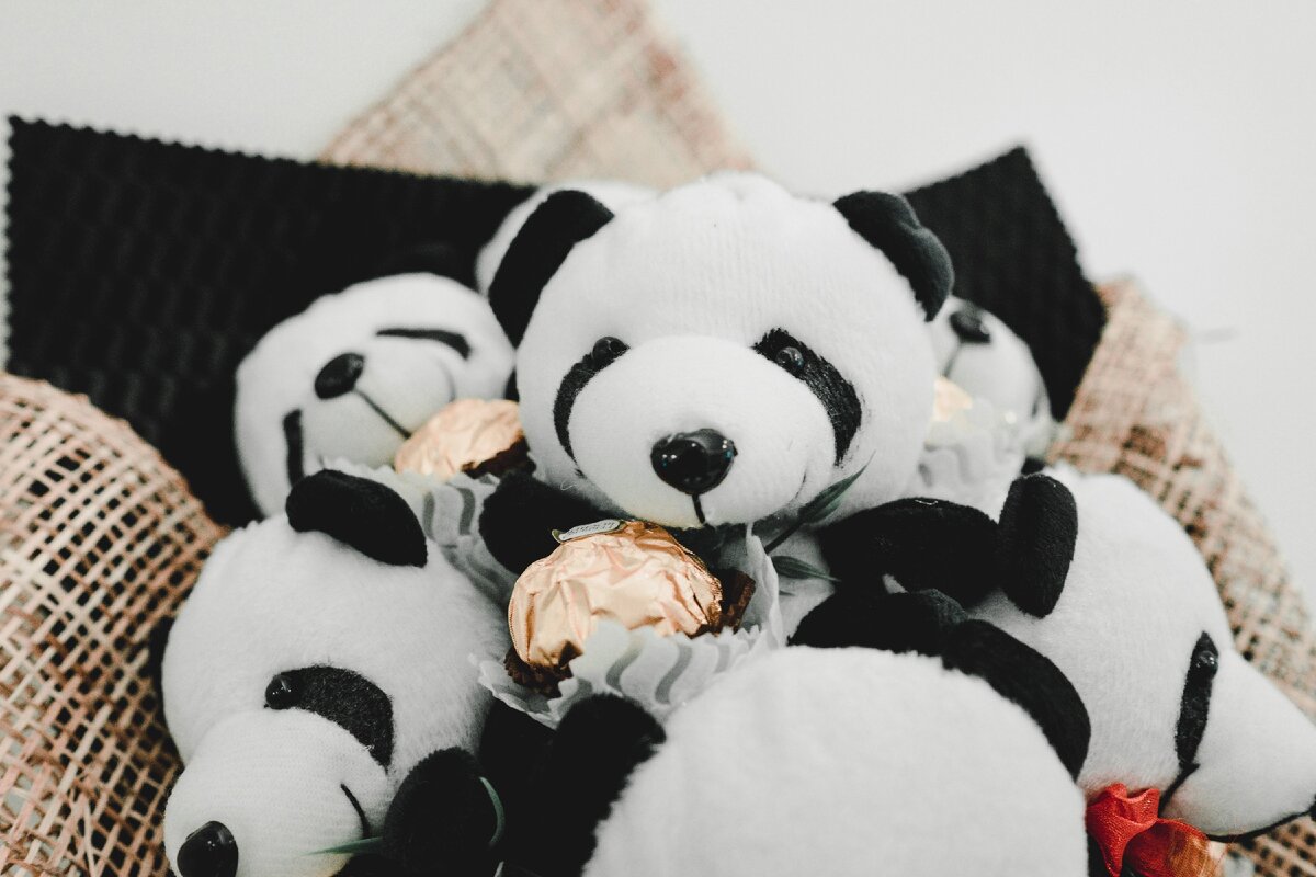 https://unsplash.com/photos/9ZU-vkfCUEo