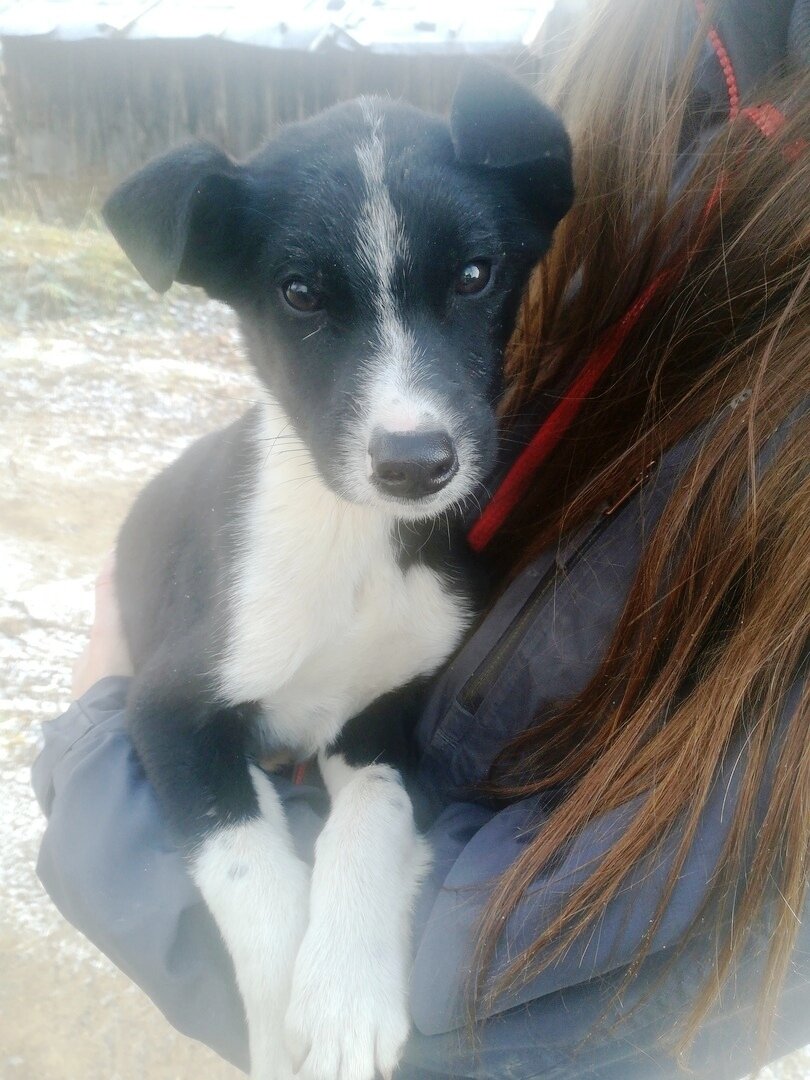 Беззащитный маленький худышка...