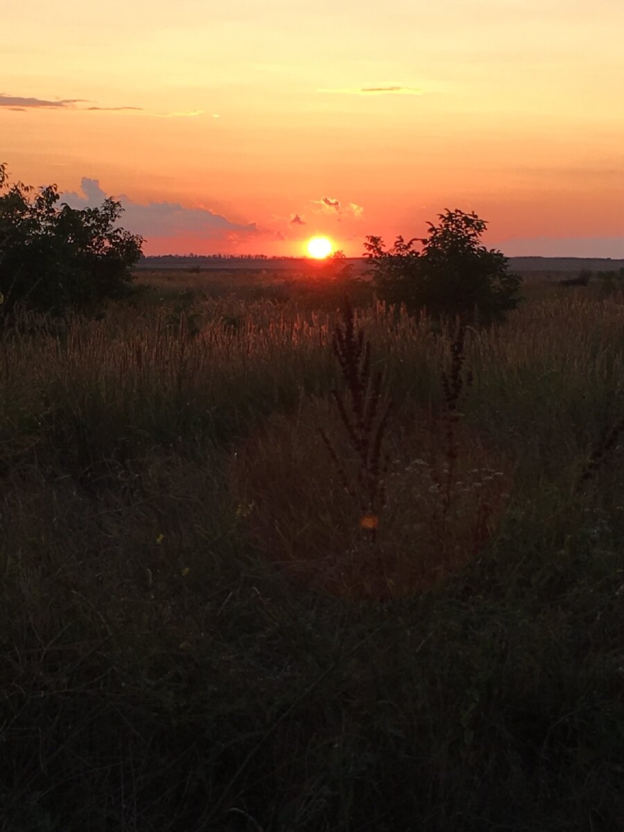 Закат в кучугурах❤️