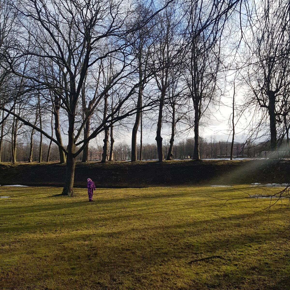 Петергоф. Лучик солнца