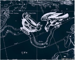 Ворон и чаща