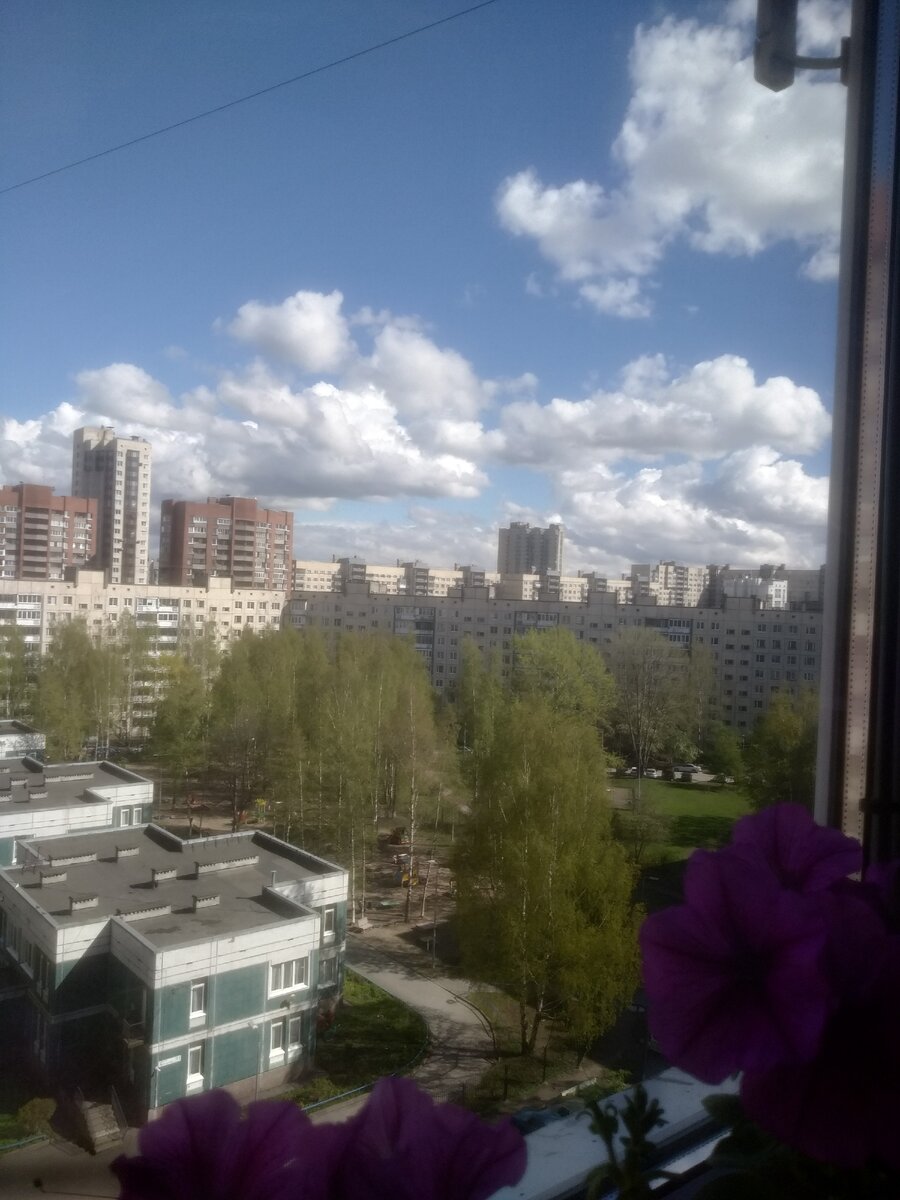 Вид из моего окна. фото автора