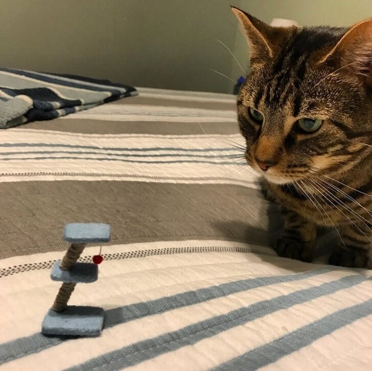 -2