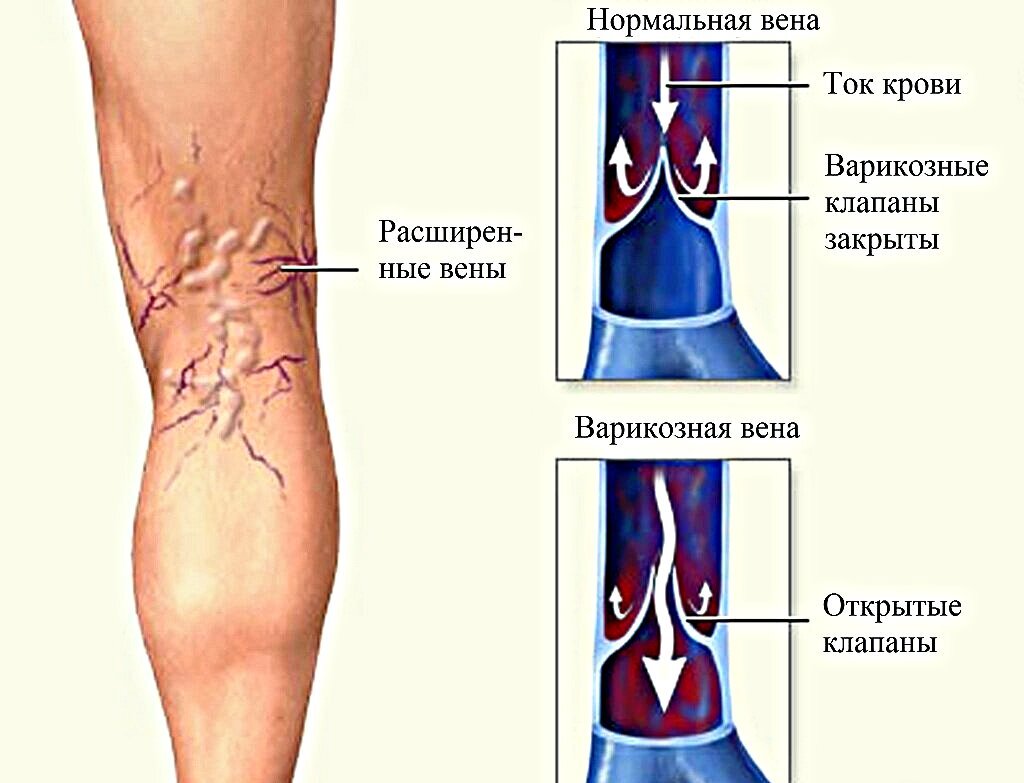 Картинки из Яндекс-картинки