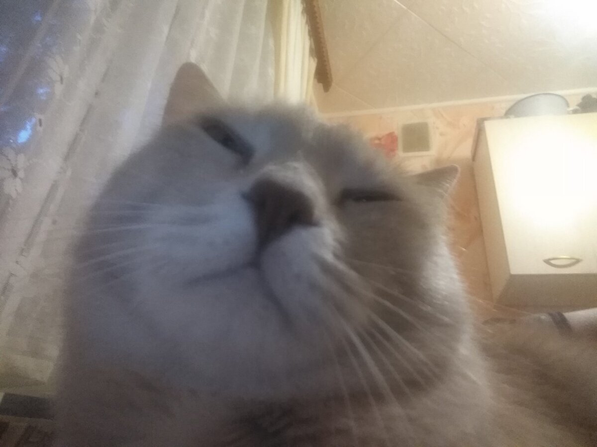 Кузьма