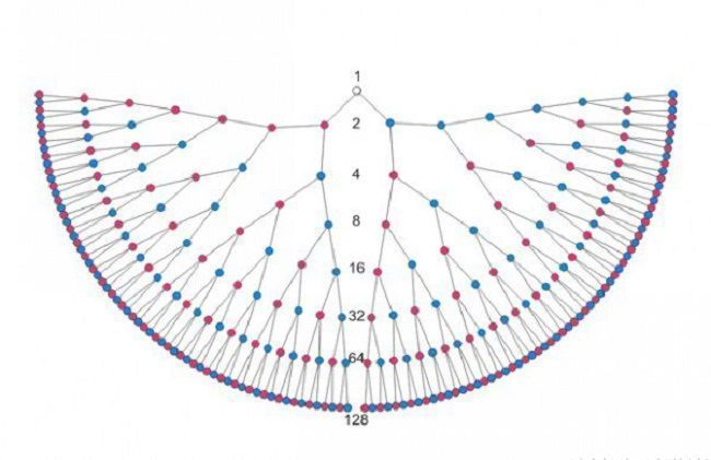 Родословный корень