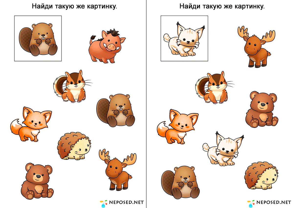 Найди такую