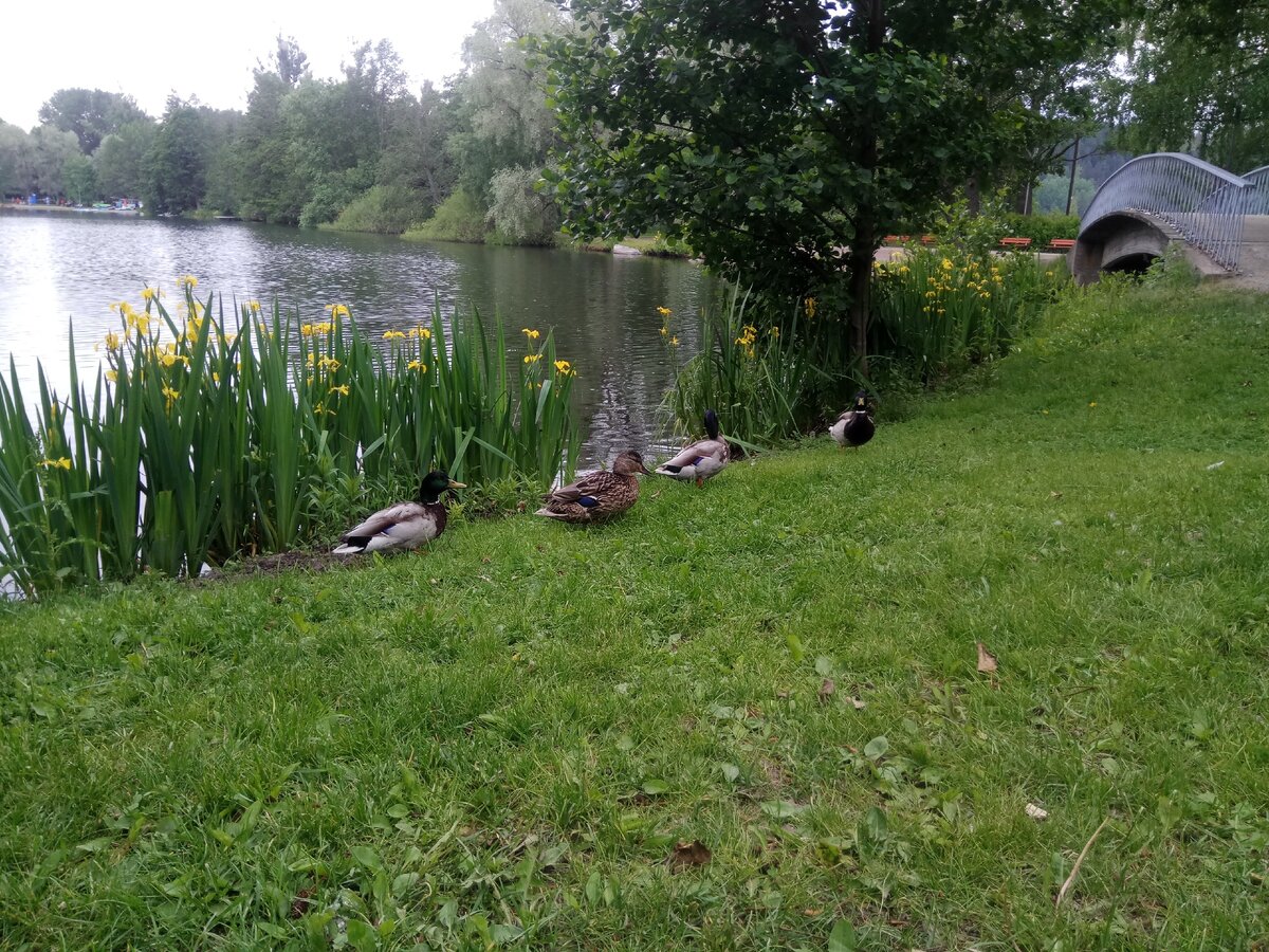 Фото автора