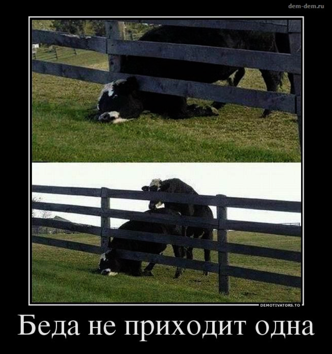 Тем не пришла