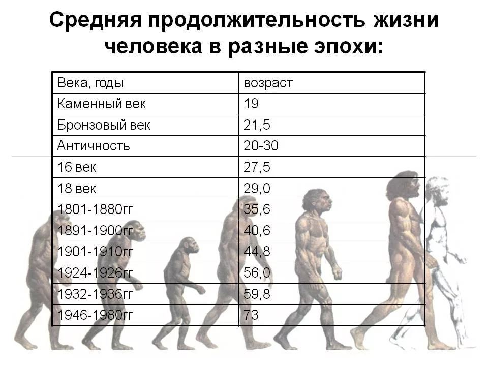 Жизнь скольки человек