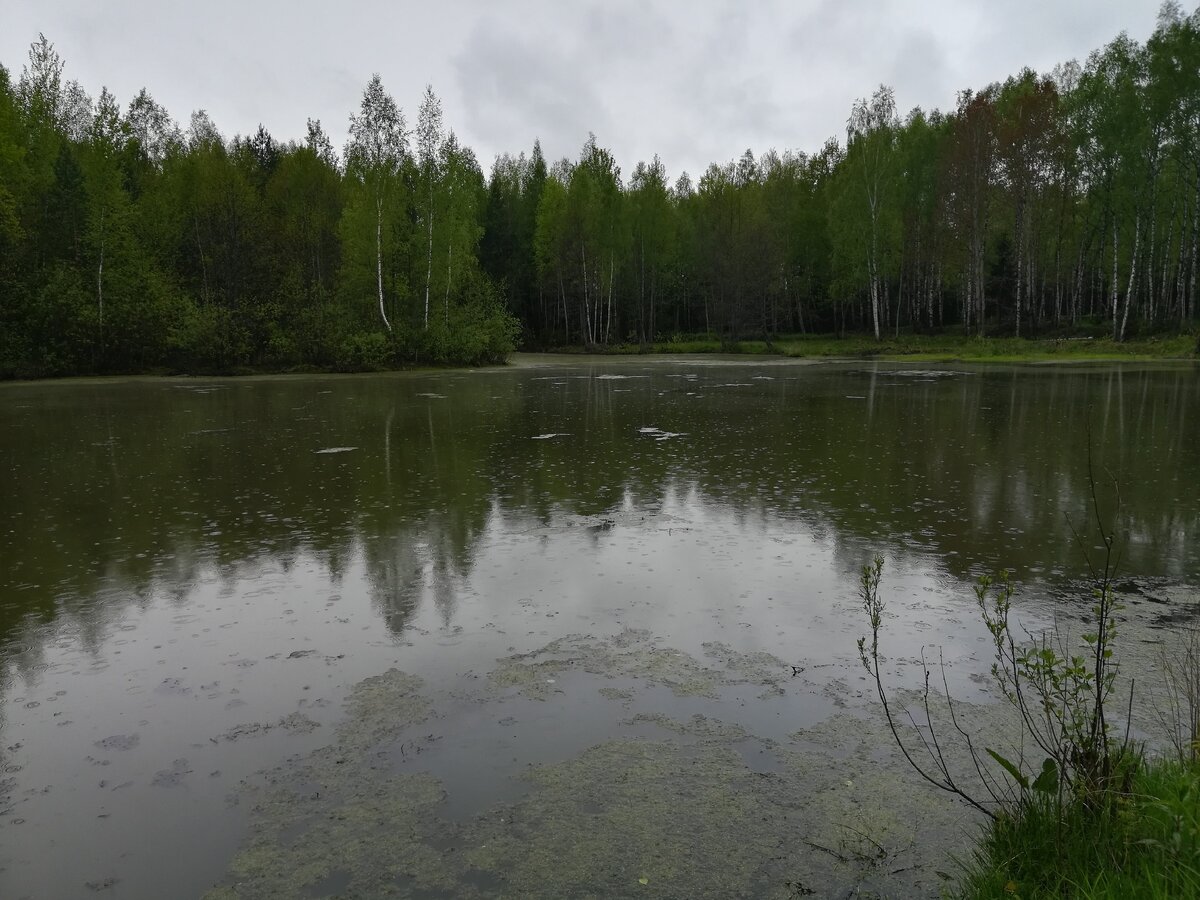 Озеро глухое Новосибирск