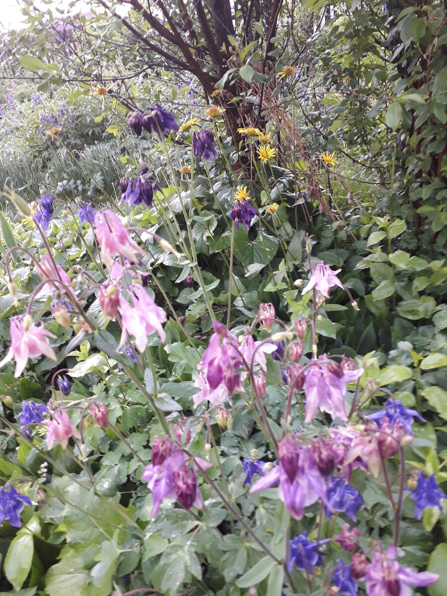 Благодатный дождь в День св. Николая Чудотворца