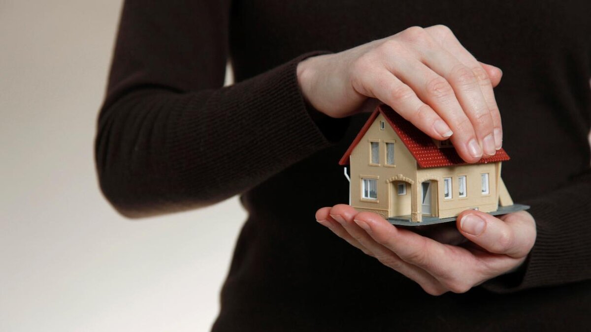 домик страхование. собственник квартиры. страхование домов. ипотека иллюстрация. конфискация жилья.