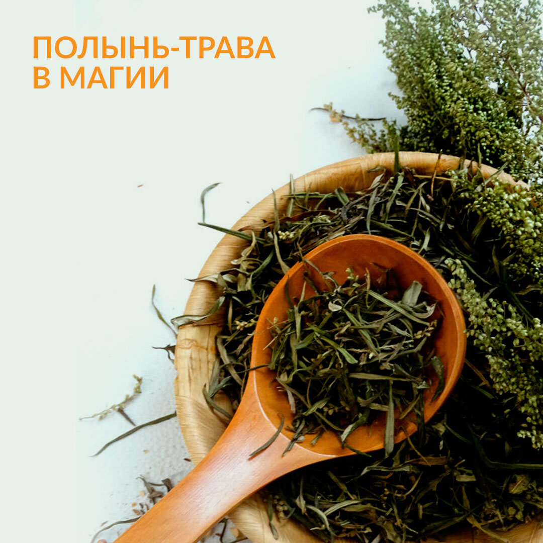 Моя прабабушка была знахаркой и часто брала меня с собой, когда заготавливала травы. Она очень хорошо знала, какая трава помогает наполниться ведовской силой, восстановить энергетический баланс, улучшить здоровье и защитить свой дом от всякой нечисти. А еще она знала, которую часть травы можно использовать в магической работе.

Так, собирая полынь, она всегда говорила: «Брать надо только верхушки» и строго-настрого запрещала облизывать губы, на которых собиралась горькая пыльца.☝
Я всегда спрашивала, зачем нам столько полыни? А прабабушка только улыбалась: «Она везде пригодится – и дом защитить от дурного глаза, и здоровье поправить».
Сегодня полынь для меня незаменимый компонент и в быту, и в магической работе.
Она входит в основу при изготовлении травяных настоек, которые помогают при заболеваниях ЖКТ, нарушении аппетита и нормализации функции пищеварения. 😉

С помощью полыни я делаю защитные обереги для дома. Кстати, сделать такой оберег самостоятельно довольно просто. Трава для него собирается на Успение в конце августа, в тот момент полынь обладает самыми сильными обережными свойствами. Собранный пучок вешается в прихожей над дверью, защищая таким образом жилое помещение от стороннего негатива.🤗

Если магу не хватает собственной энергии для сильного результата или ее необходимо увеличить и сбалансировать, накануне обряда нужно принять ванну с отваром полыни.

Когда мне нужно получить какую-то информацию, я кладу под подушку веточку полыни. И в эту ночь обязательно вижу вещий сон, в котором нахожу ответ на интересующий вопрос и понимаю, как поступить в сложной ситуации.

Если к вам часто приходят чужие люди, или в доме происходят конфликты, помещение быстро пропитывается негативом. В этом случае возьмите сухой пучок полыни и окурите все помещение дымом, чтобы очистить дом и избавиться от негативного проявления.

Вот такая необыкновенная трава-полынь!🤓😉