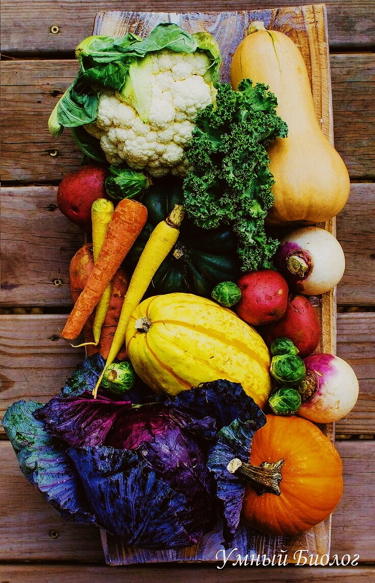 Местный чекист раскрыл карты — выбросим со службы, скажете «ау» железной дороге и вообще никуда вас не примут; когда семья начнёт пухнуть с голоду, всё равно согласитесь.