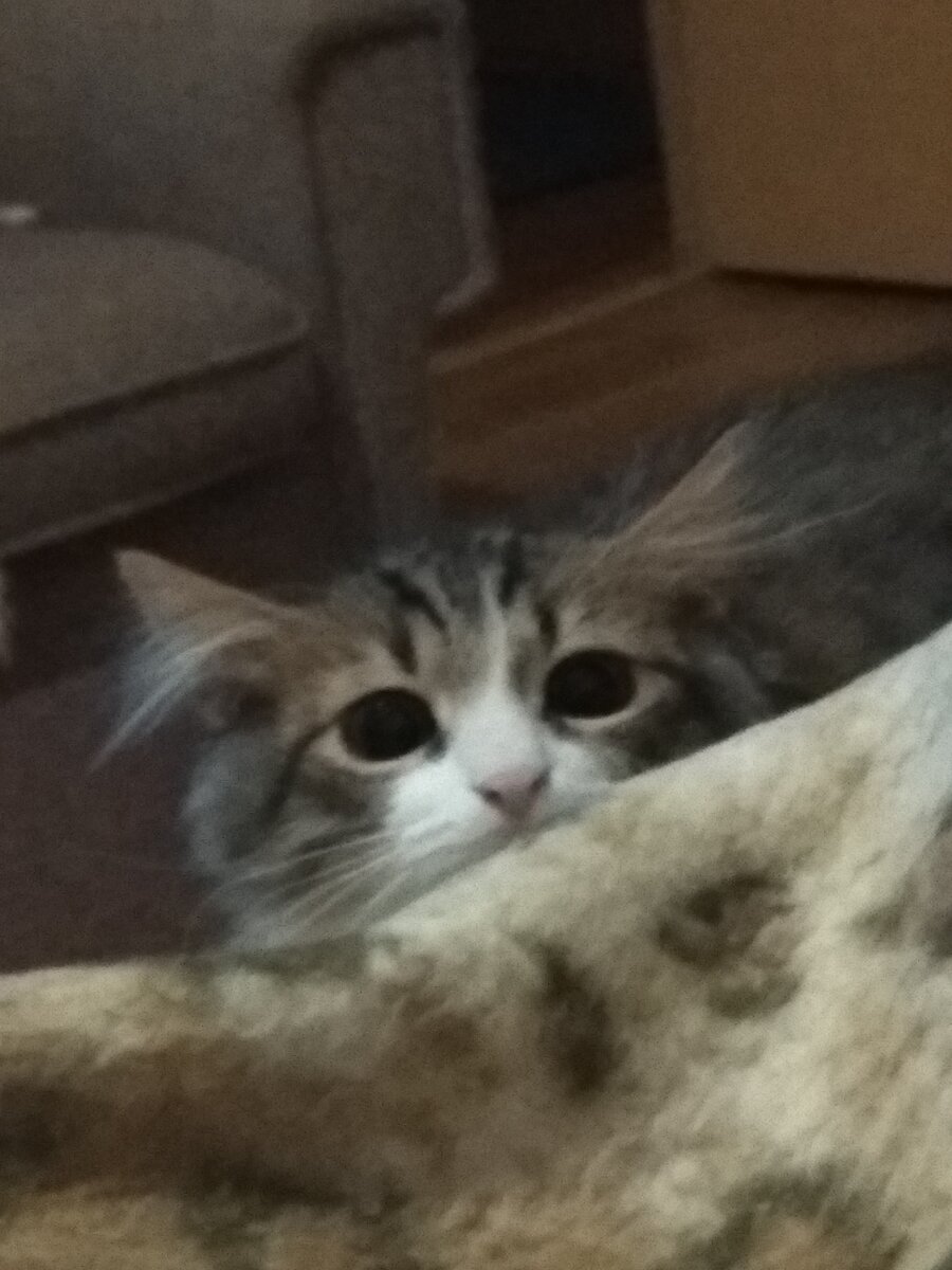 Поиграть с рукой - ритуал перед сном))