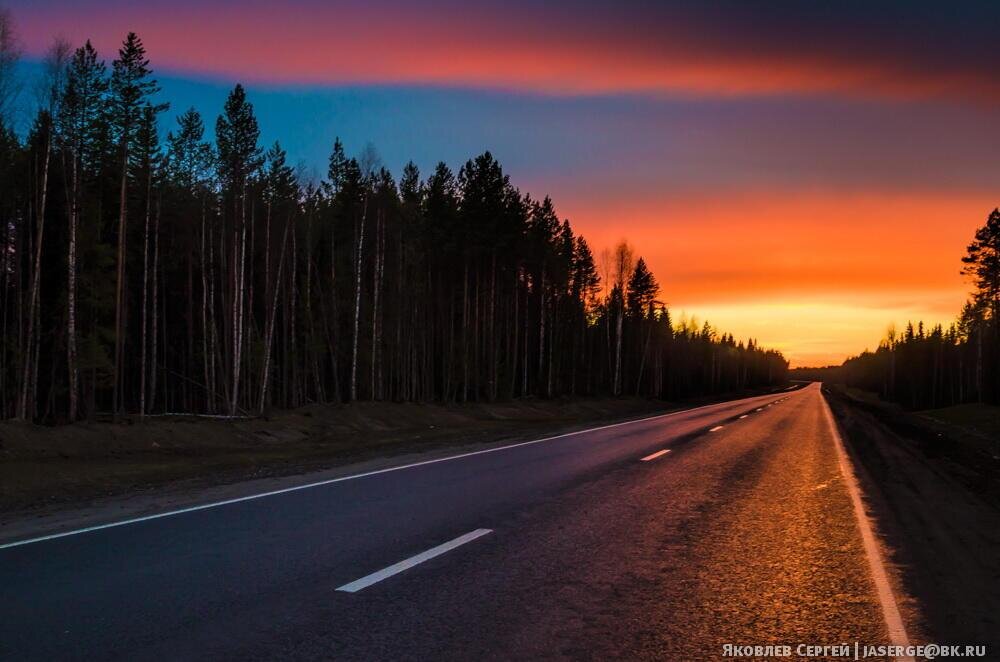 Ночная дорога в лесу