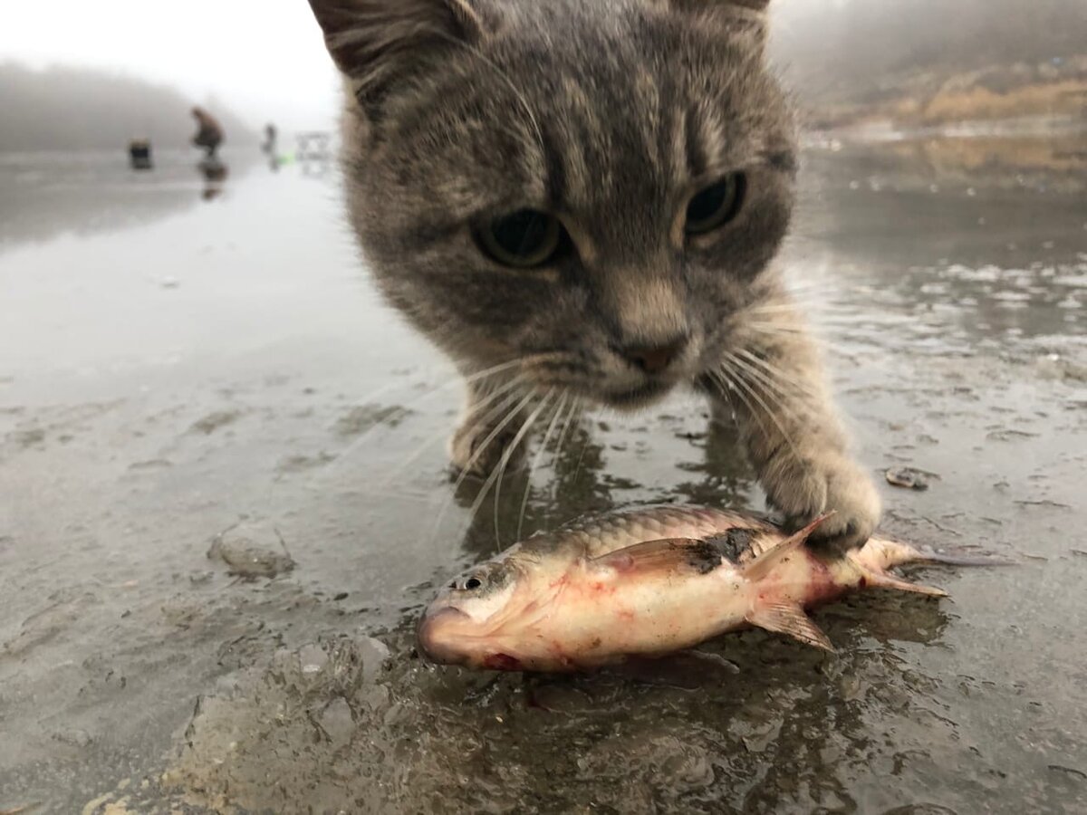 Просто красивые фото с моих выездов.