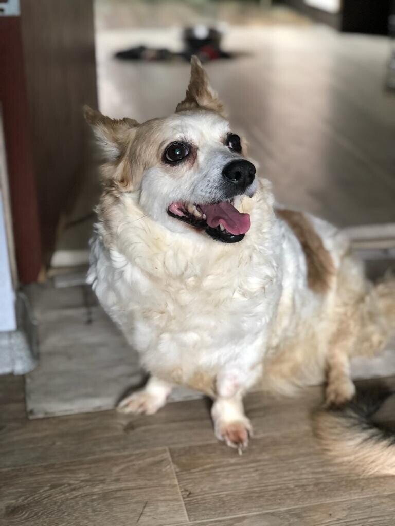 Милые глазки. Да и сама я  - ангел. Разве нет?