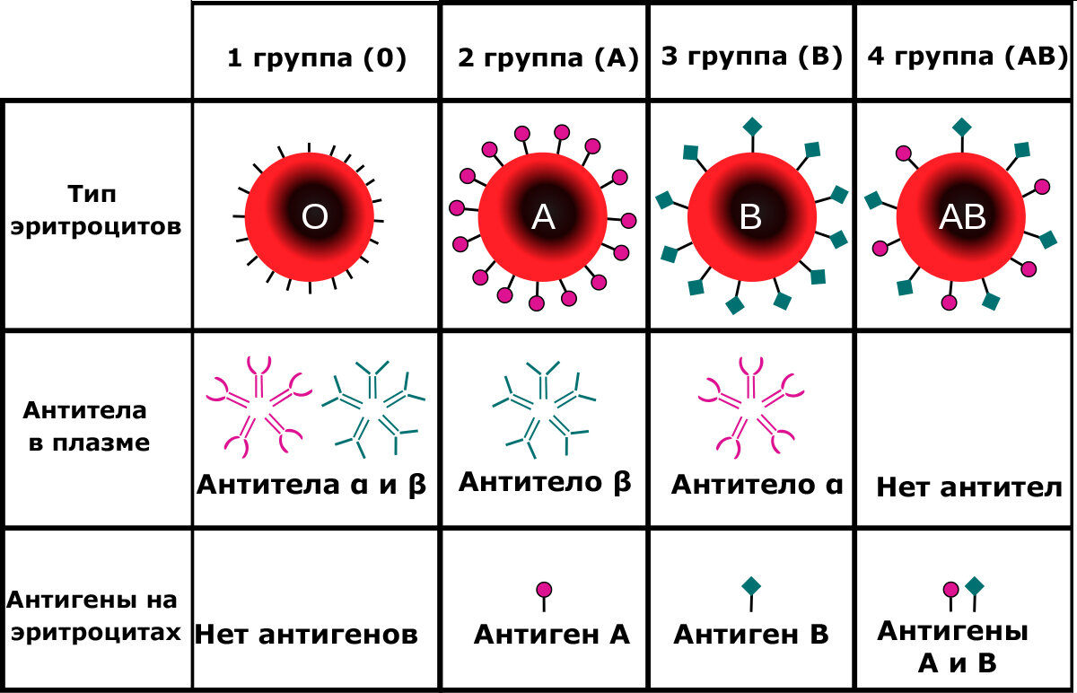 Группа крови и дальтонизм. Антитела плазмы 1 группы крови. Группы крови системы ab0. Антигены эритроцитов и антитела к ним.. Антигены 4 группы крови. Ab0 группа крови.