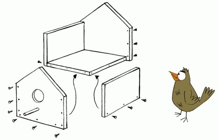 Как сделать скворечник - размеры для разных видов птиц, защита скворечника