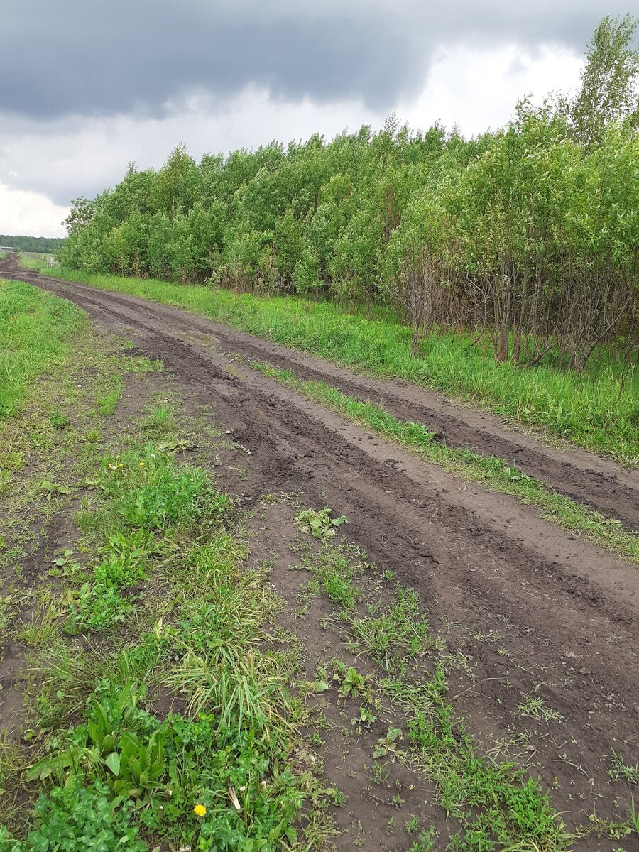 Дороги размыты,но проехать можно