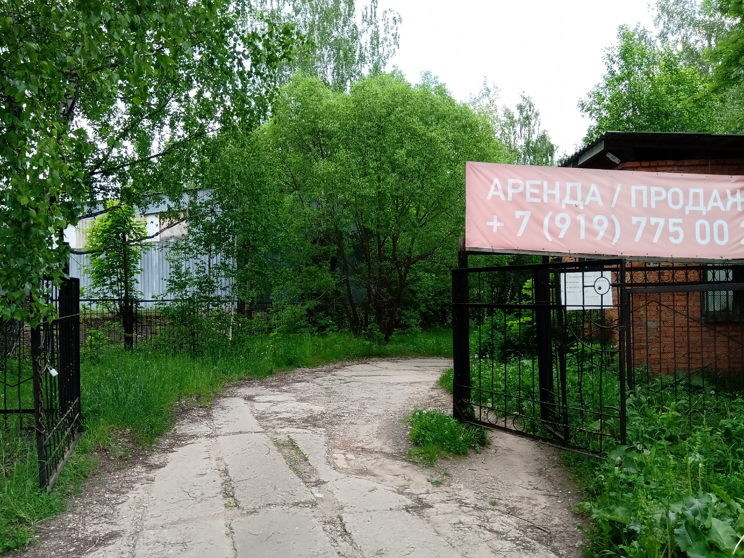 санаторий березка спб