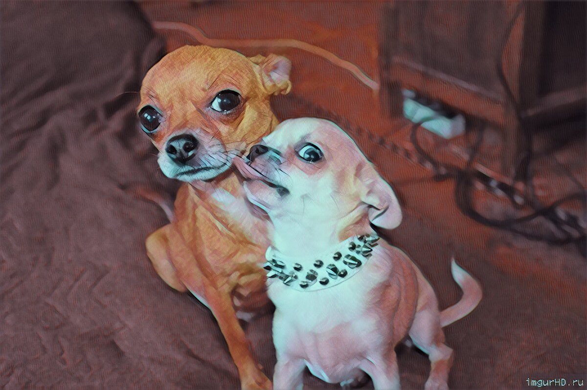 Фото из личного архива