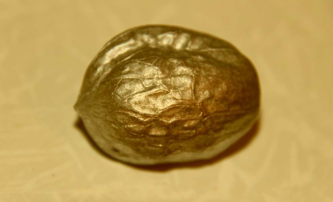 Счастье — собранные части.